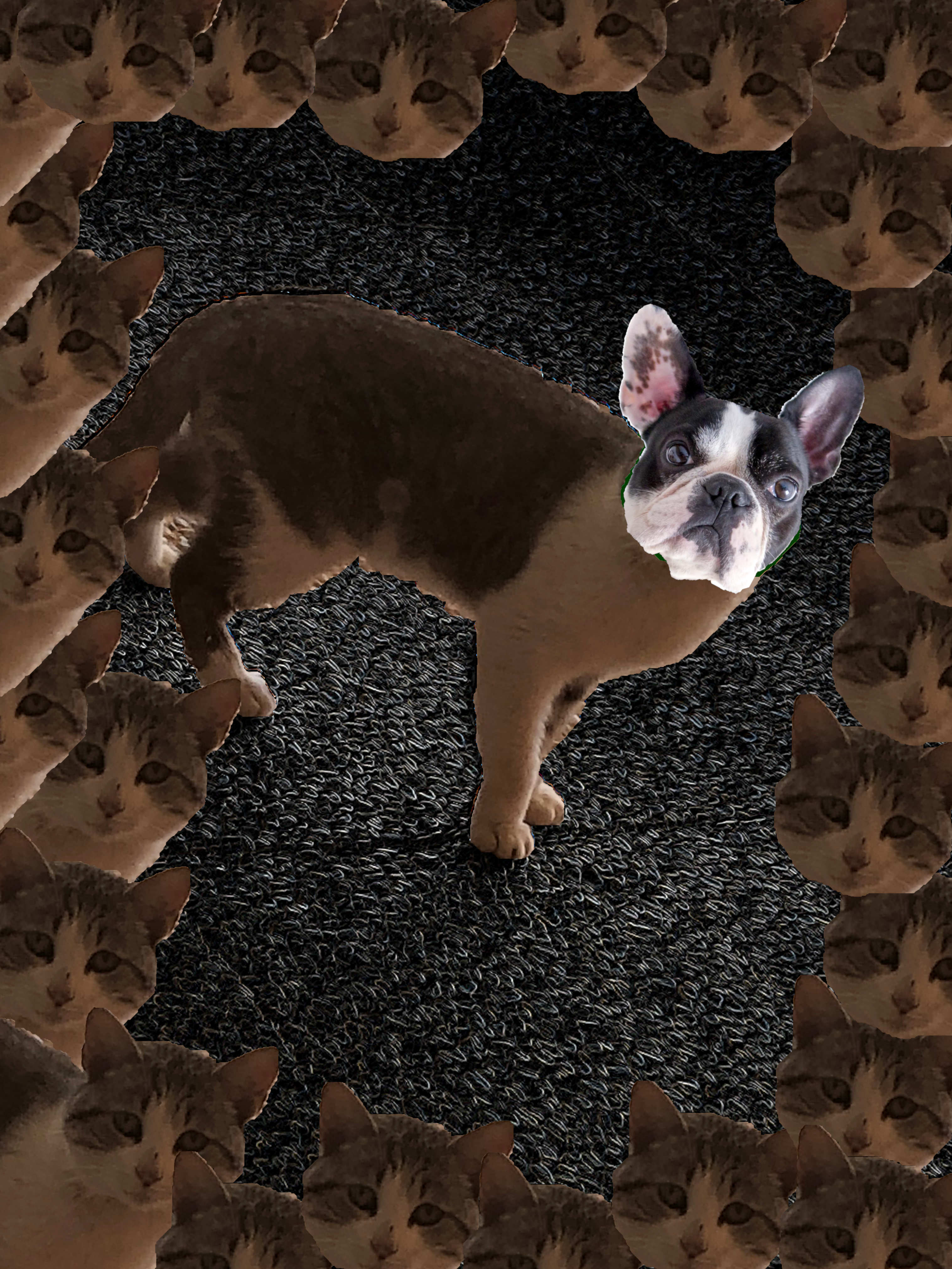 Edición Fotográfica by Carmen Muñoz Moraleda - Ourboox.com