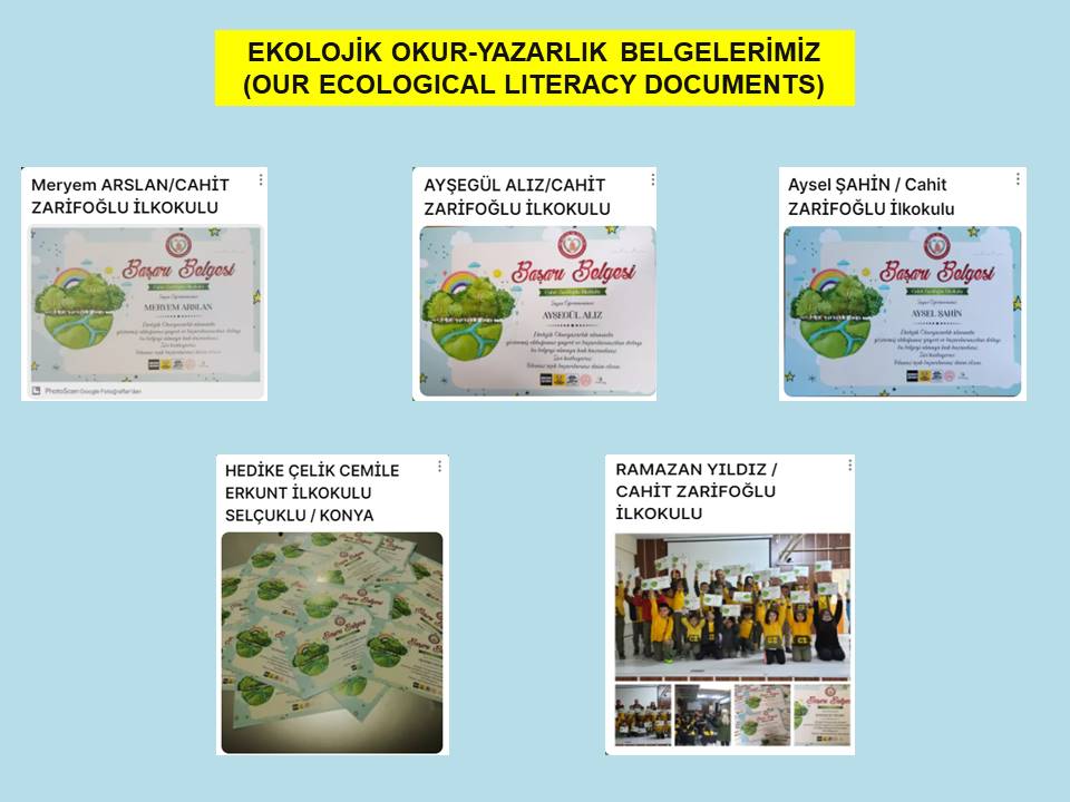 Bİİ KOZALAK VERSEM by Aysel ŞAHİN - Illustrated by AYSEL ŞAHİN - Ourboox.com