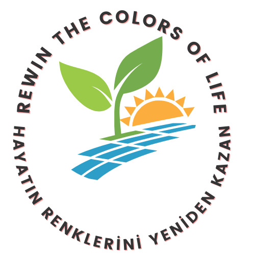 Rewin The Color Of Life – Evaluation Of Teacher Pre-test and Post-test by dilek öztürk - Ourboox.com