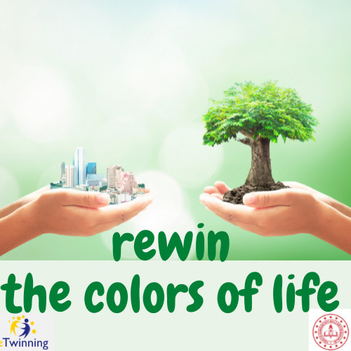 Rewin The Color Of Life – Evaluation Of Teacher Pre-test and Post-test by dilek öztürk - Ourboox.com