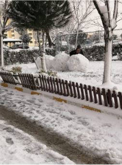 DOĞANIN YAZ VE KIŞ HALİ by SeNu - Ourboox.com