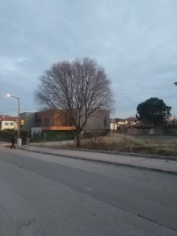 DOĞANIN YAZ VE KIŞ HALİ by SeNu - Ourboox.com