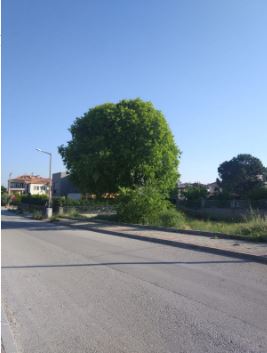 DOĞANIN YAZ VE KIŞ HALİ by SeNu - Ourboox.com