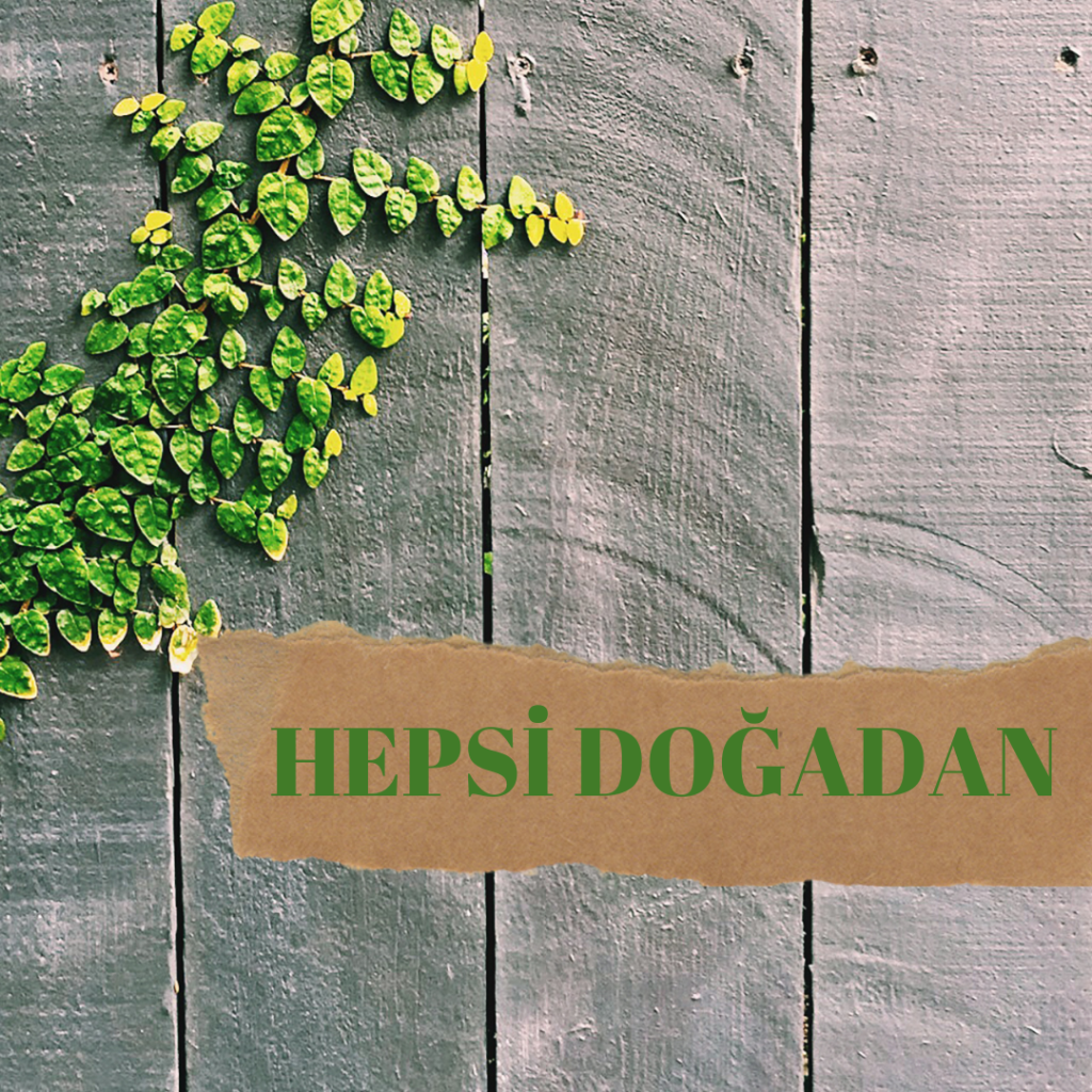 HEPSİ DOĞADAN by Rukiye TOPAL - Ourboox.com