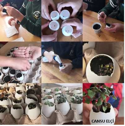 HEPSİ DOĞADAN by Rukiye TOPAL - Ourboox.com