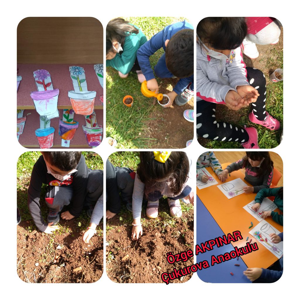 HEPSİ DOĞADAN by Rukiye TOPAL - Ourboox.com