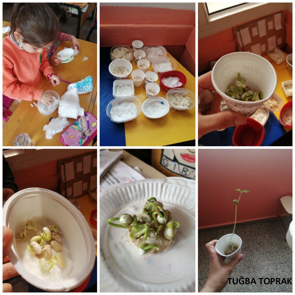 HEPSİ DOĞADAN by Rukiye TOPAL - Ourboox.com