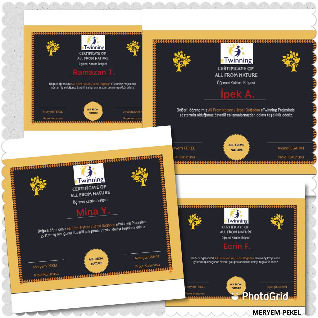 HEPSİ DOĞADAN by Rukiye TOPAL - Ourboox.com