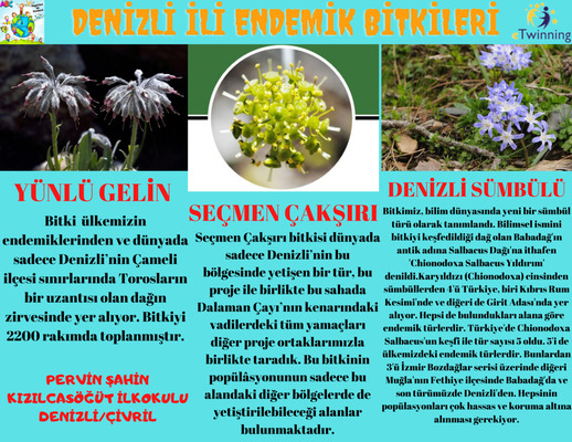 BİRİZ-ÜRETİRİZ PROJESİ ÖZETİ by Barış KAYA - Ourboox.com