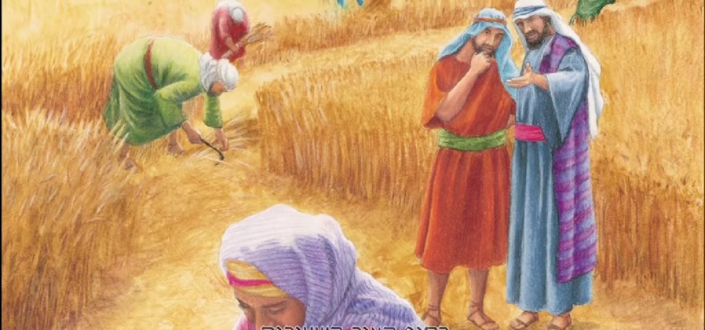 story of Ruth by Revaya and Hodaya - Ourboox.com