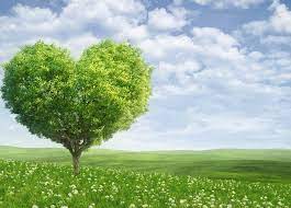 Io amo il mio pianeta by Salvatore Iacometta - Illustrated by Guida per la realizzazione dell