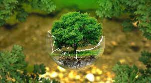 Навколишнє середовище і людина! by Anastasia - Ourboox.com