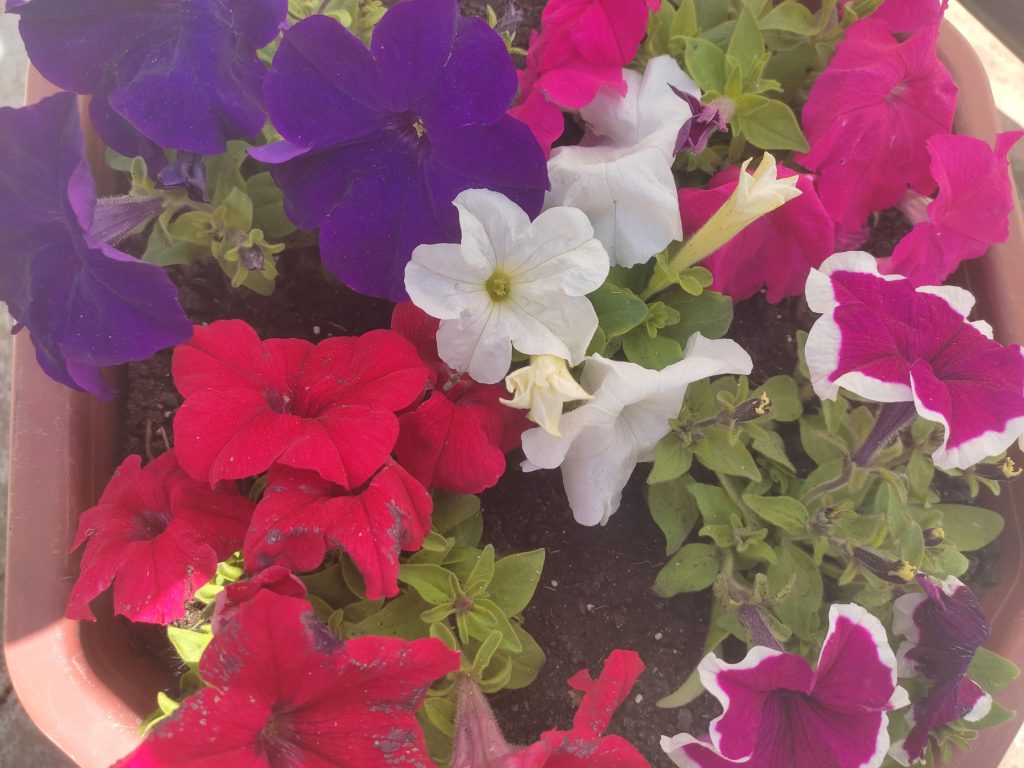 !!!З днем матері by Рєнат  - Ourboox.com