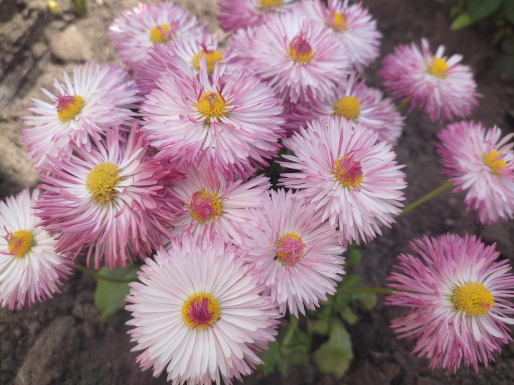 !!!З днем матері by Рєнат  - Ourboox.com