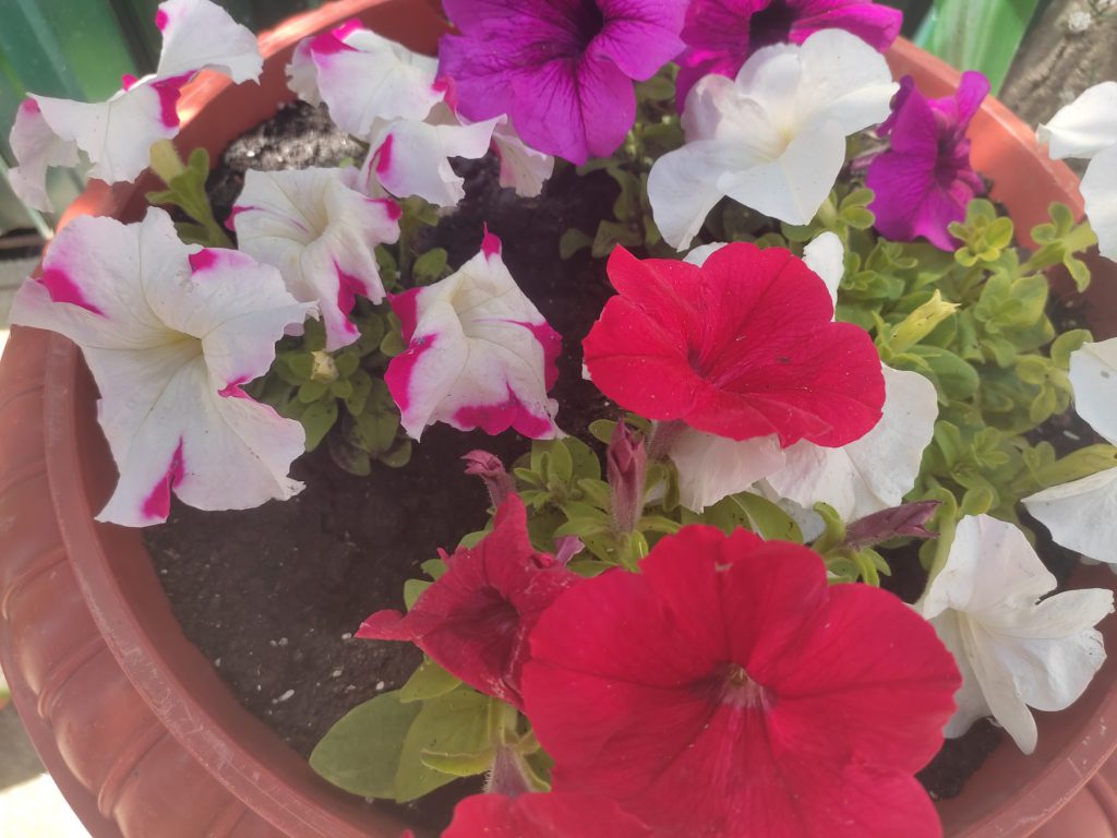 !!!З днем матері by Рєнат  - Ourboox.com