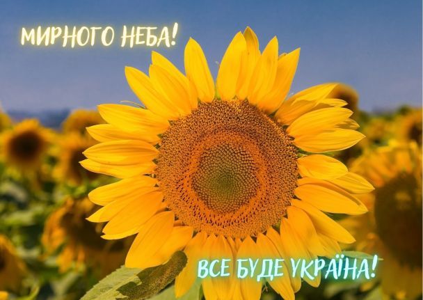 НАШІ МРІЇ ПІСЛЯ ПЕРЕМОГИ by Mariya - Ourboox.com