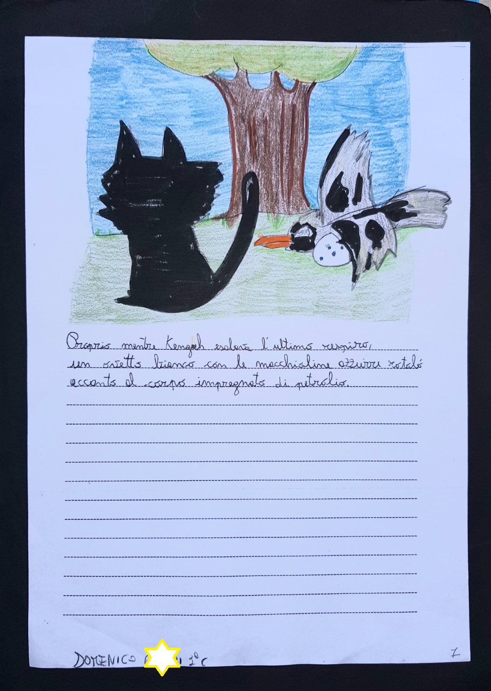Rappresentazione grafica e drammatizzazione del libro “la gabbianella e il gatto che le insegno a volare”, la classe 1C Scuola Secondari di primo grado by Massi - Illustrated by Alunni 1° C - Ourboox.com