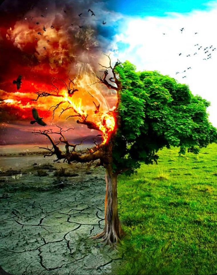 e-book by cristiano.diliberato - Ourboox.com