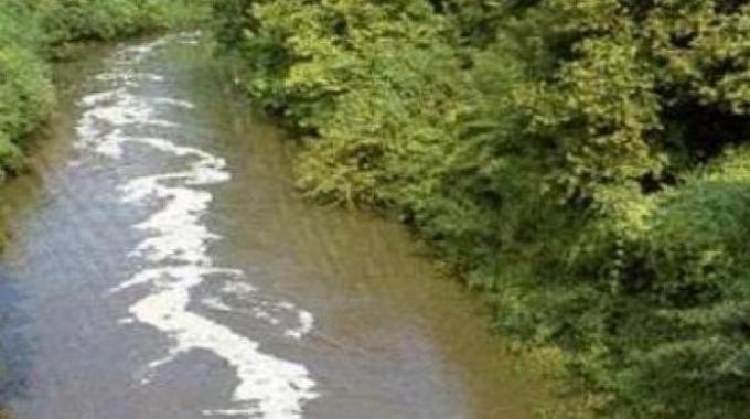 AMICI DELL’AMBIENTE? by Cecilia Manzini - Ourboox.com