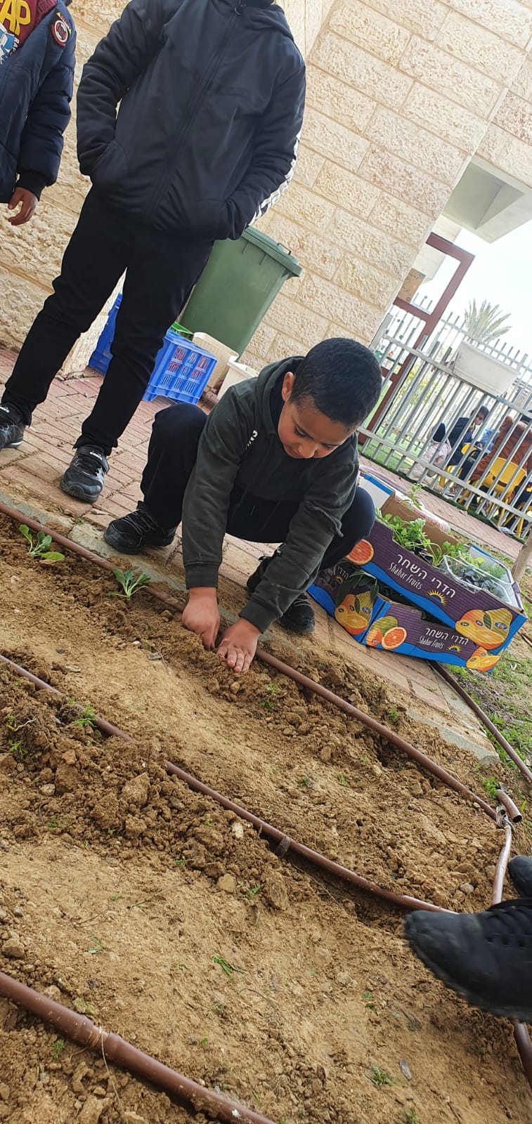 פעיליות עבודת ילדי הגן בגינה by MONA - Ourboox.com