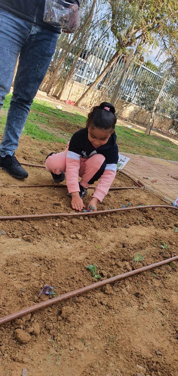 פעיליות עבודת ילדי הגן בגינה by MONA - Ourboox.com