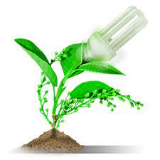 Вирішення проблеми утилізації різних видів електричних ламп by Yulia - Ourboox.com