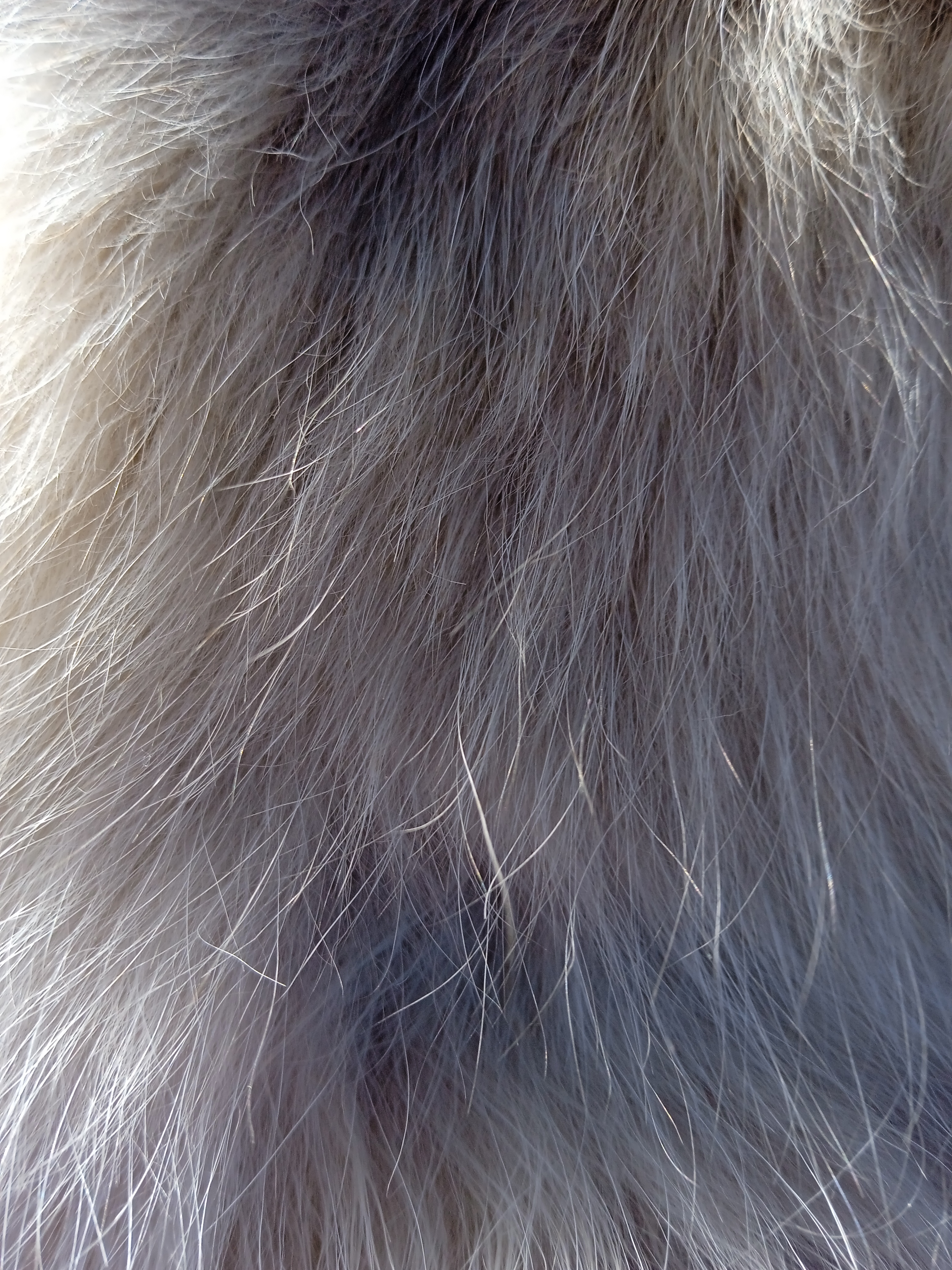 Фотоквест з зарубіжної літератури Денисенко Тимофій 6-Б by Denusenko Tumofiy - Ourboox.com