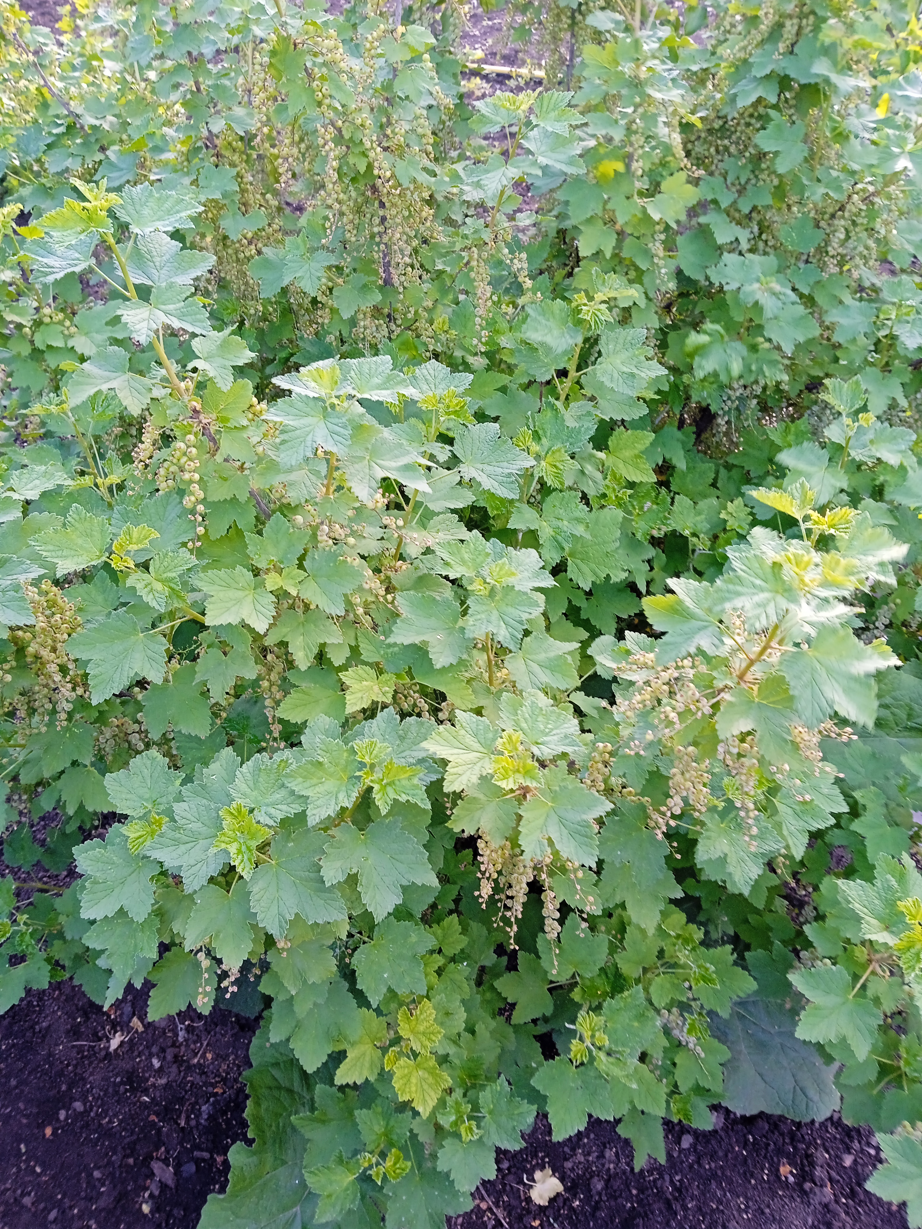 Фотоквест з зарубіжної літератури Денисенко Тимофій 6-Б by Denusenko Tumofiy - Ourboox.com