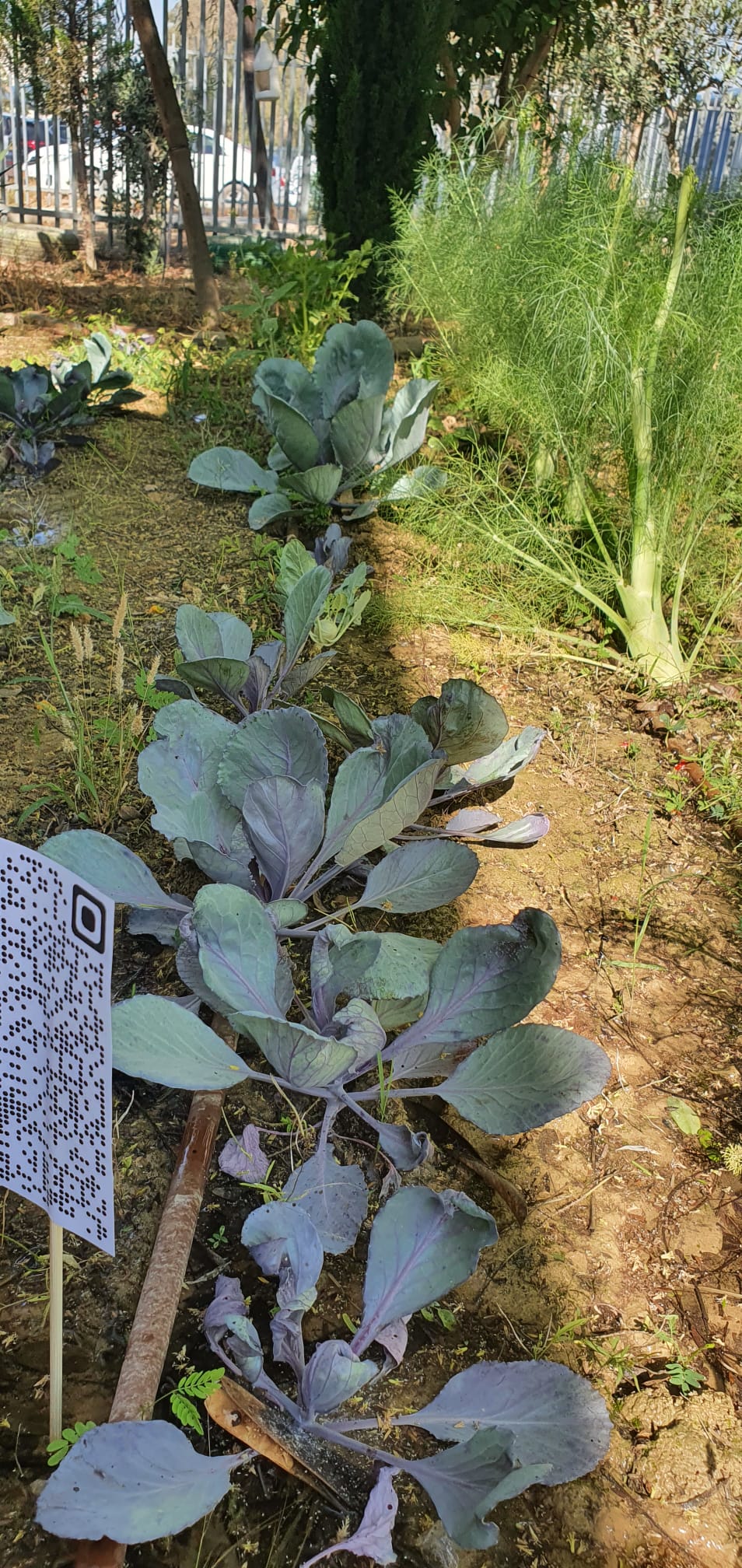 פעיליות עבודת ילדי הגן בגינה by MONA - Ourboox.com