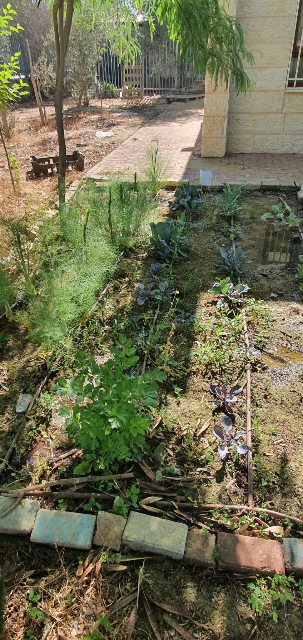 פעיליות עבודת ילדי הגן בגינה by MONA - Ourboox.com