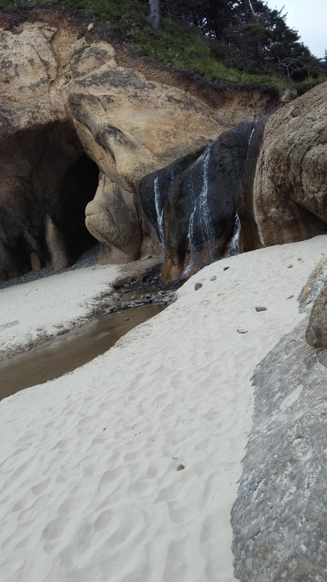 Aventures en plein air dans l’Oregon by Brianna Johansen - Illustrated by Brianna Johansen & Sadye Chester - Ourboox.com