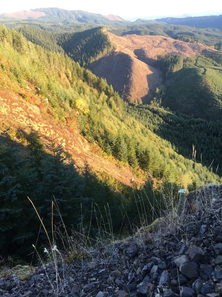 Aventures en plein air dans l’Oregon by Brianna Johansen - Illustrated by Brianna Johansen & Sadye Chester - Ourboox.com