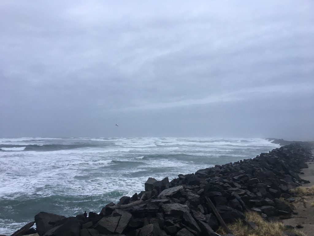 Aventures en plein air dans l’Oregon by Brianna Johansen - Illustrated by Brianna Johansen & Sadye Chester - Ourboox.com