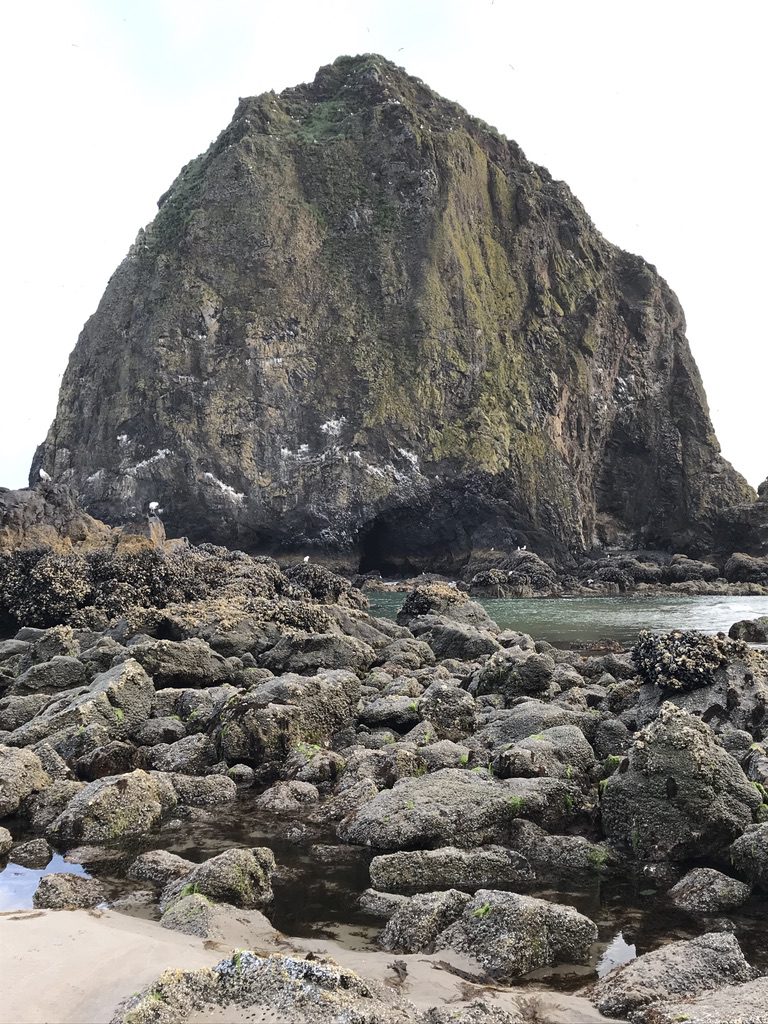 Aventures en plein air dans l’Oregon by Brianna Johansen - Illustrated by Brianna Johansen & Sadye Chester - Ourboox.com