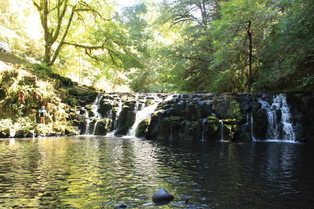 Aventures en plein air dans l’Oregon by Brianna Johansen - Illustrated by Brianna Johansen & Sadye Chester - Ourboox.com