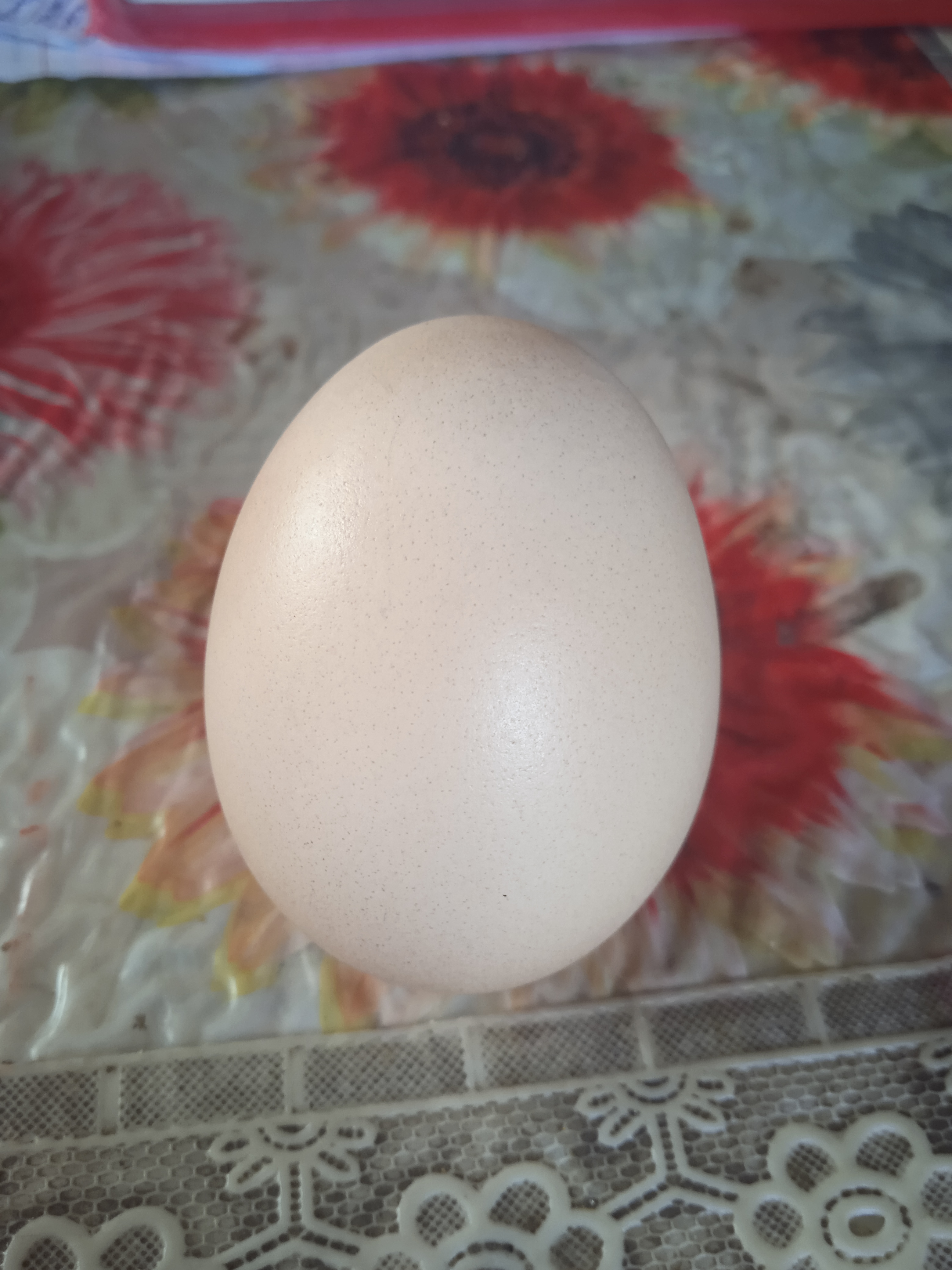 фотоквест з зарубіжної літератури учениці 6-а классу Ніколенко Настя by Nastay nikolenko - Ourboox.com