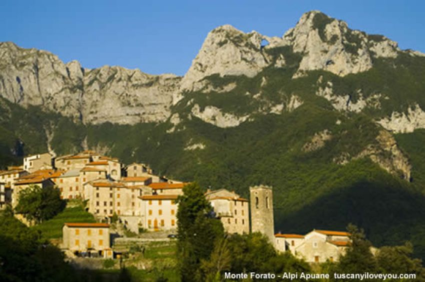 Toscana by Francesca D