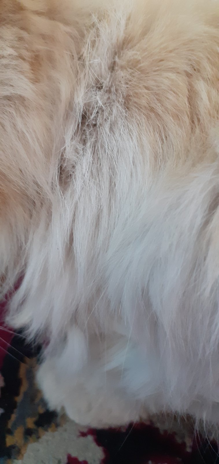 Фото квест з зарубіжної літератури Гулько Єгор 6-Б by Gulko Ehor - Ourboox.com