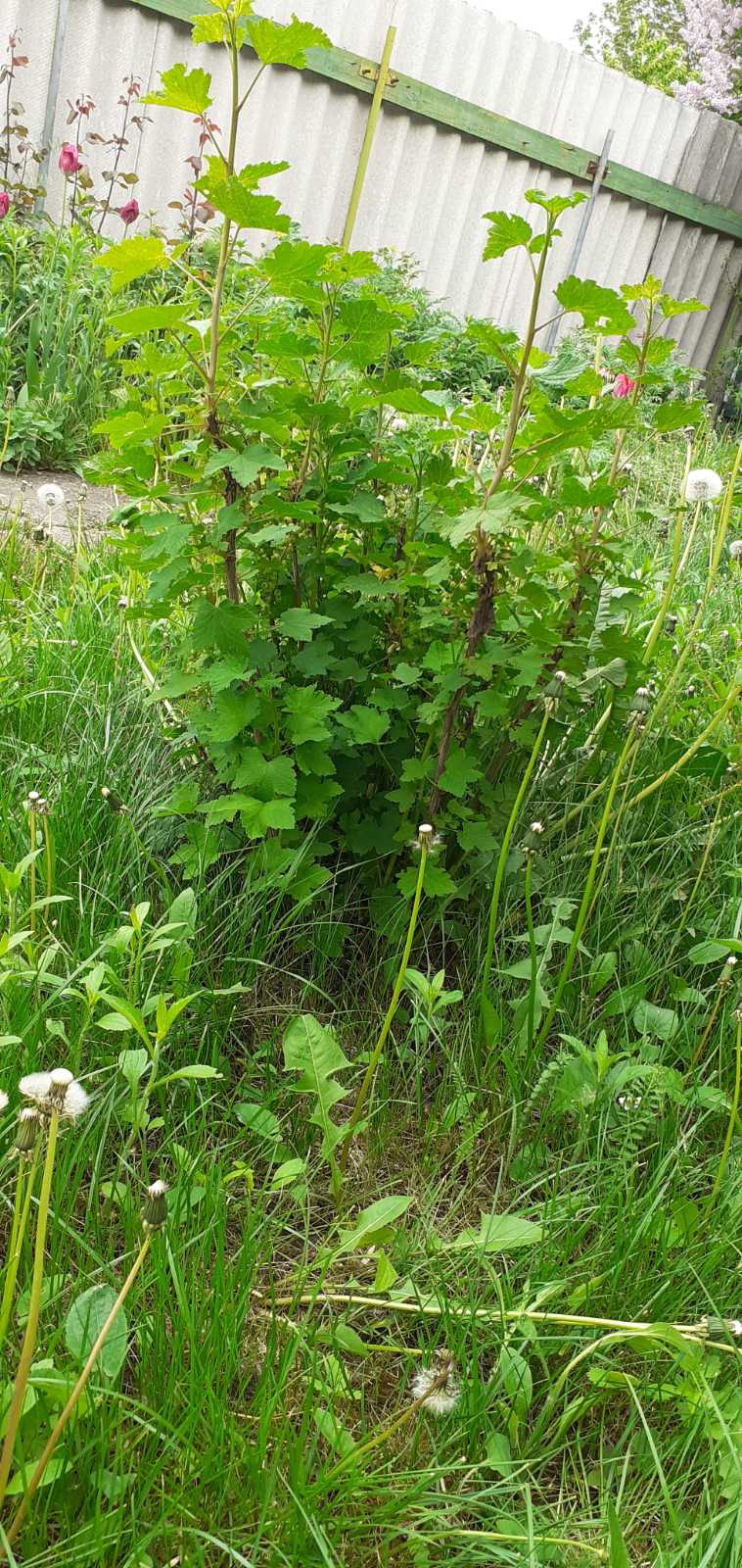 Фото квест з зарубіжної літератури Гулько Єгор 6-Б by Gulko Ehor - Ourboox.com