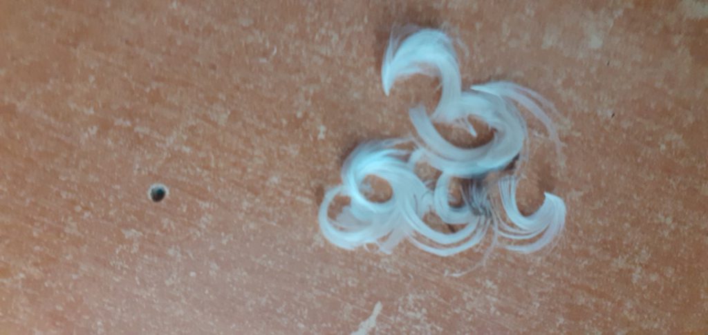 Фото квест з зарубіжної літератури Гулько Єгор 6-Б by Gulko Ehor - Ourboox.com