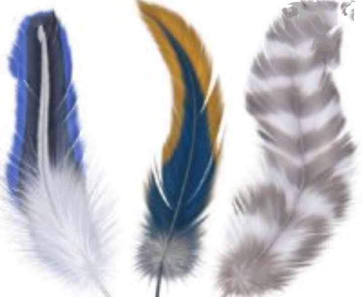 фотоквест з зарубіжної літератури учениці 6-а классу Ніколенко Настя by Nastay nikolenko - Ourboox.com