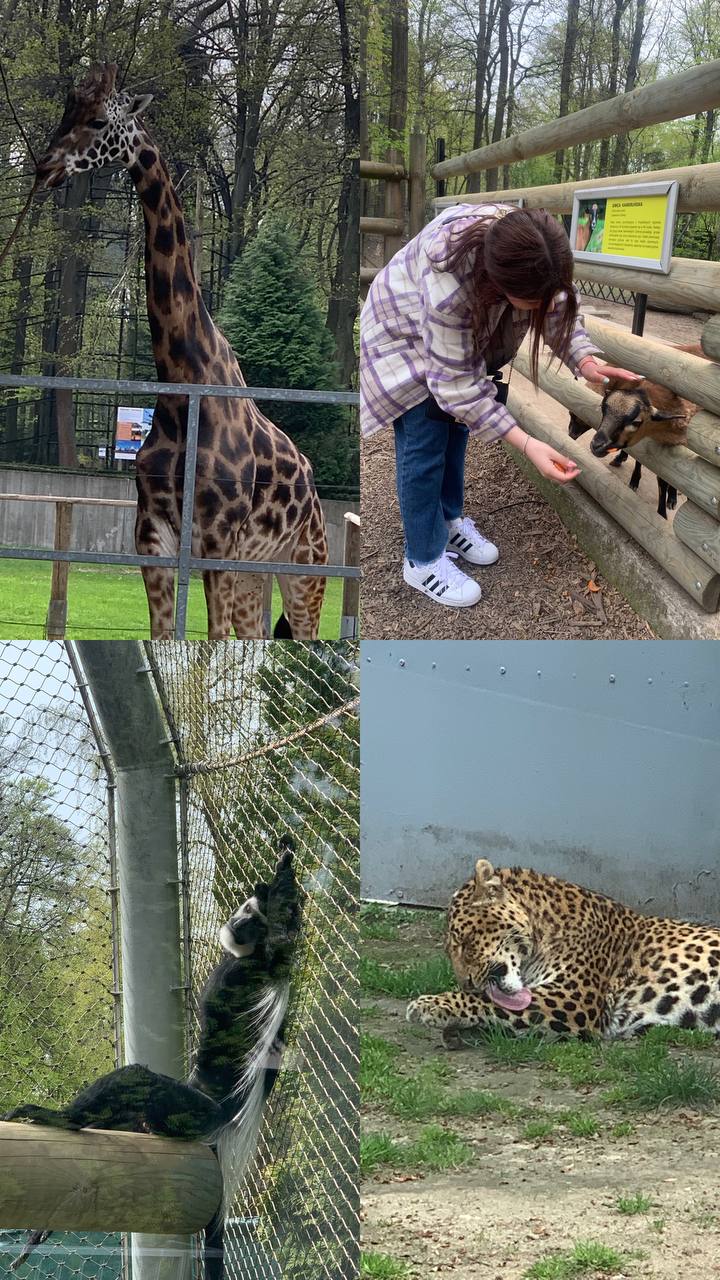 Необхідний переїзд до Польши by Voloshina Vika - Ourboox.com