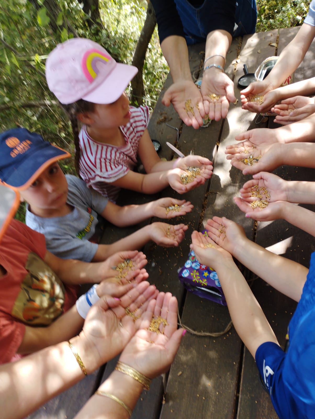 גן אלונים עושים חסדים by iris asher - Ourboox.com