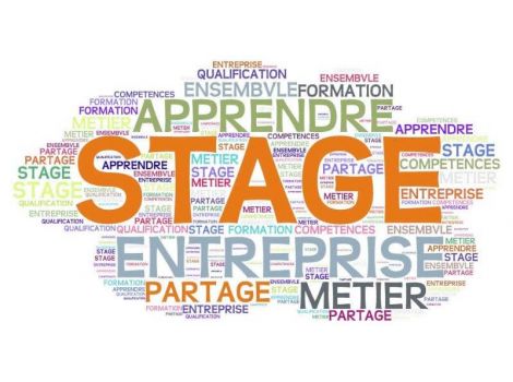 DIARIO DI STAGE by Bara Mohamed - Ourboox.com