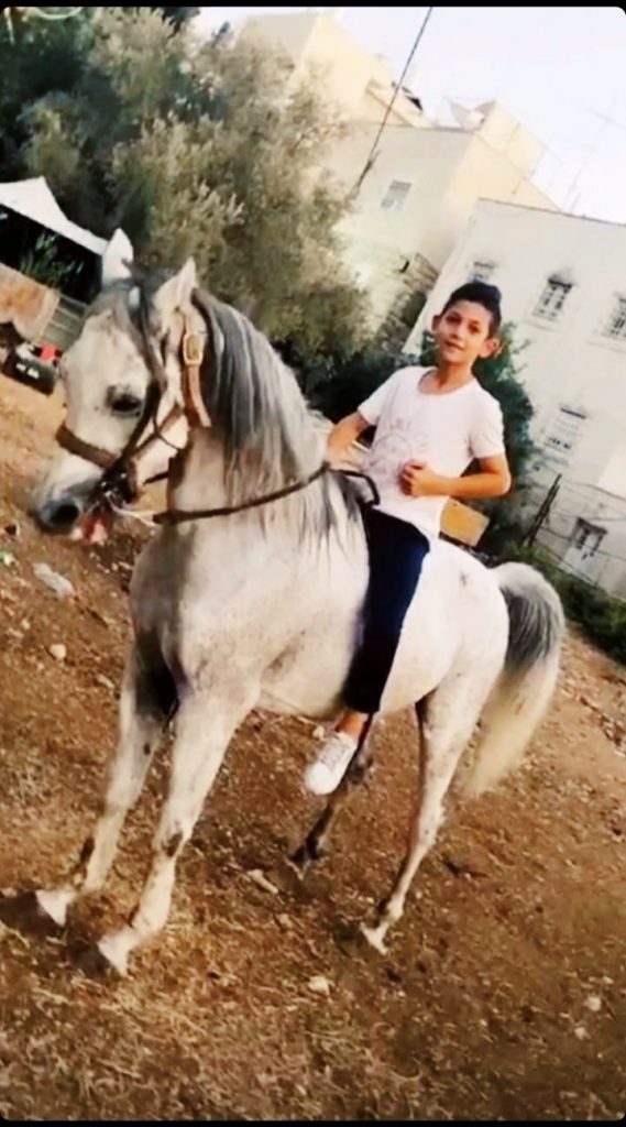 عن الخيول by SAIF ABUSHQRA - Ourboox.com