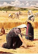 רות המואביה by noa shnizer - Ourboox.com