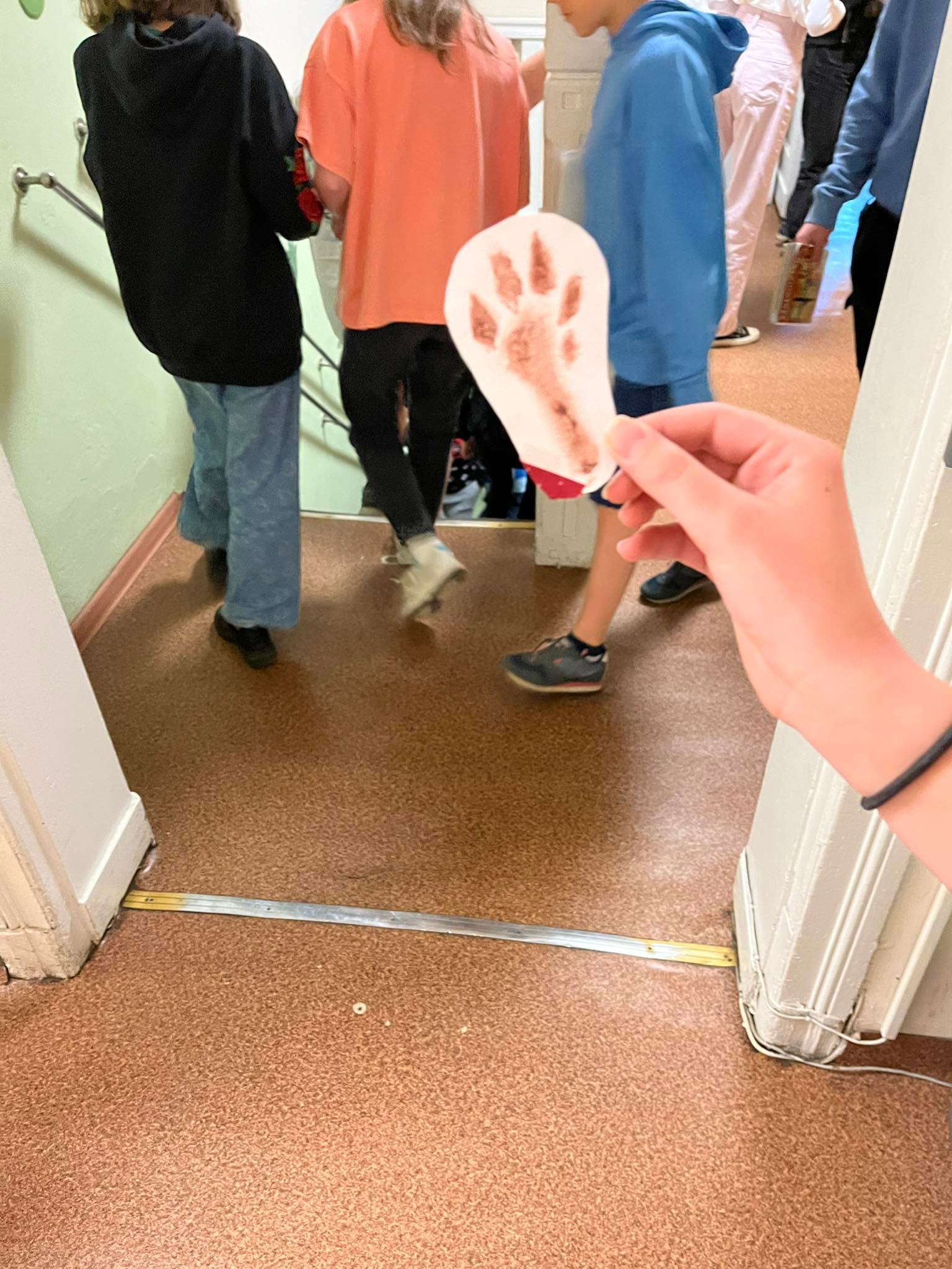 Korytarze- otwarte drzwi dla wędrówek zwierząt by KINGA CICHOWICZ - Ourboox.com