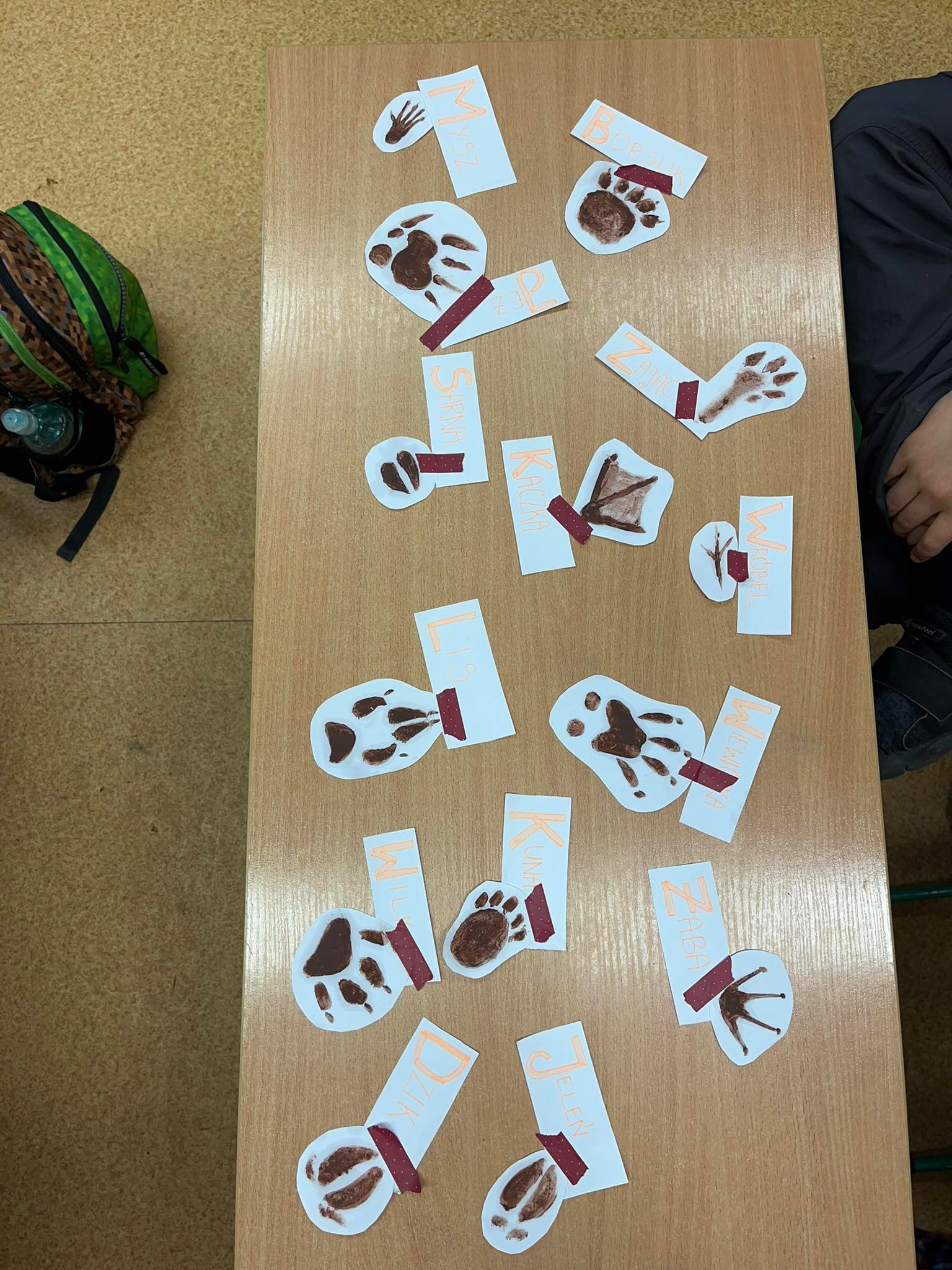 Korytarze- otwarte drzwi dla wędrówek zwierząt by KINGA CICHOWICZ - Ourboox.com