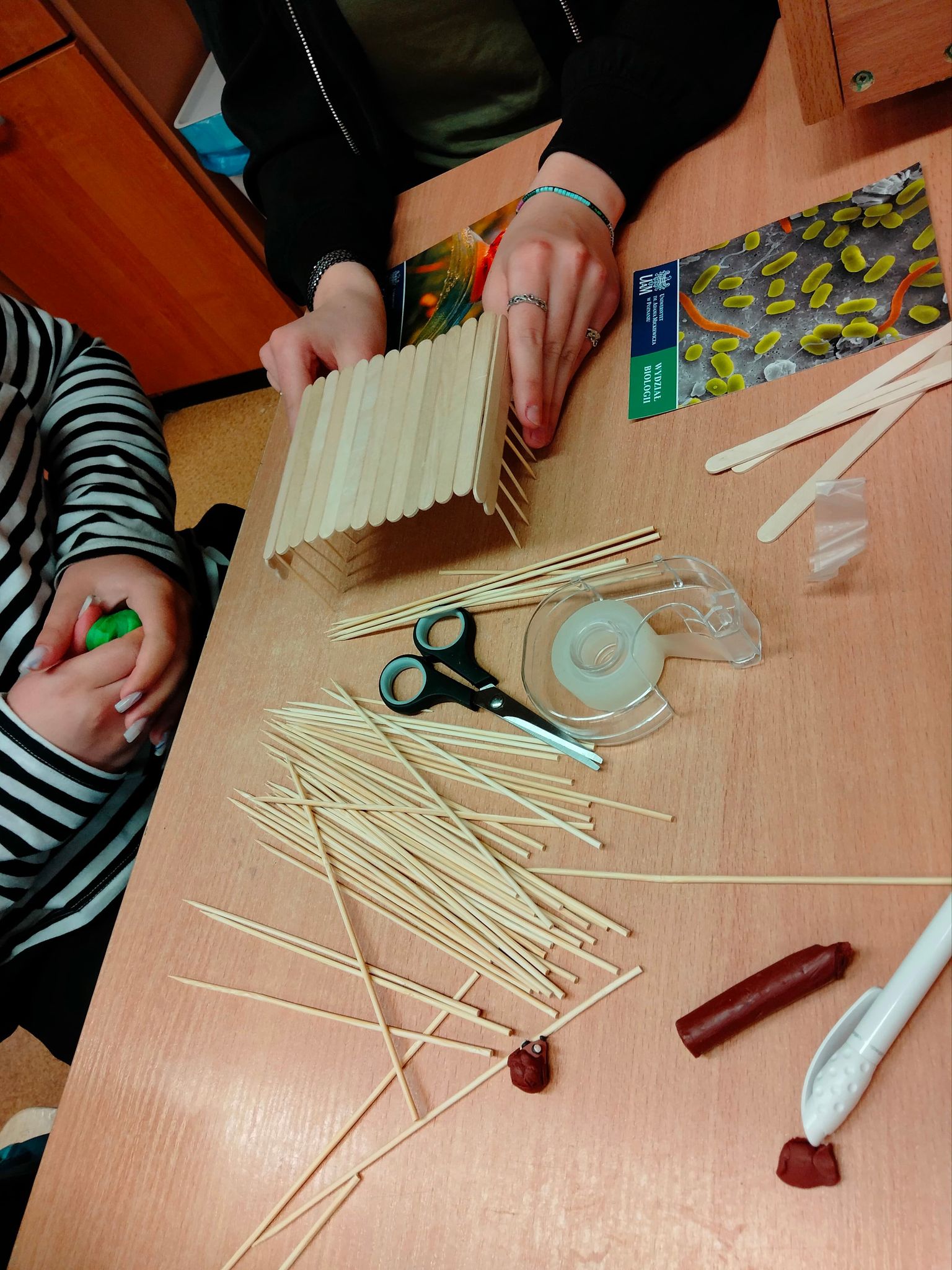 Korytarze- otwarte drzwi dla wędrówek zwierząt by KINGA CICHOWICZ - Ourboox.com