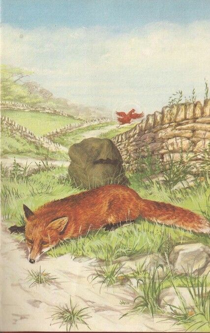 SLY Fox and Red Hen by KMAL - Ourboox.com